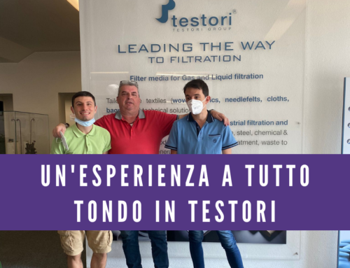 Un’esperienza a tutto tondo in Testori