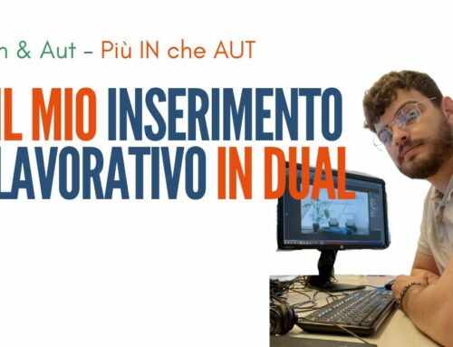 Il mio inserimento lavorativo in DUAL